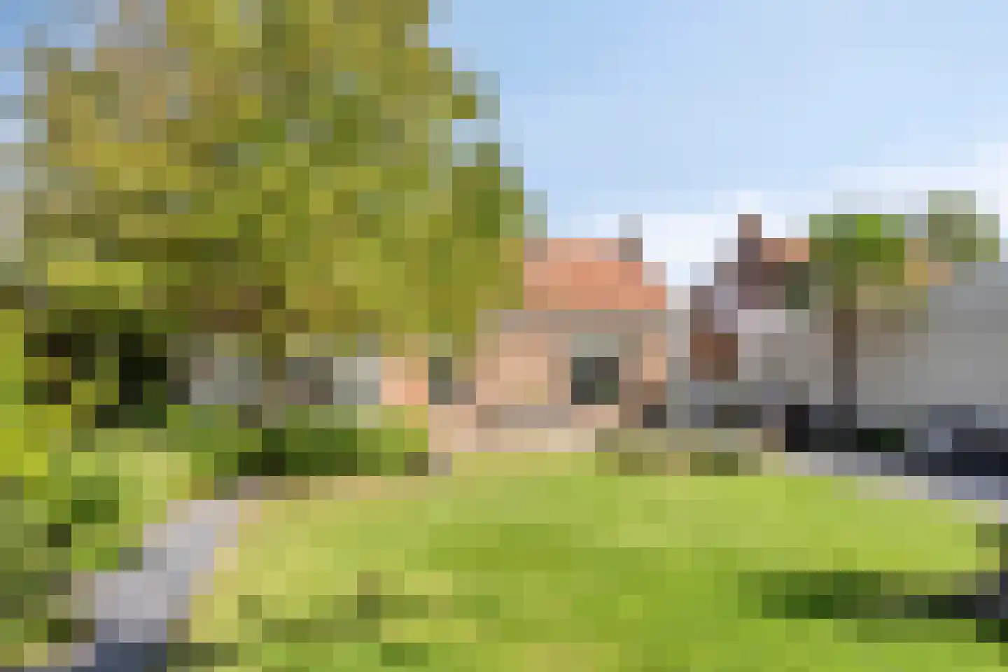 Nieuwe Kraaijertsedijk 23 's-Heer Arendskerke thumbnail 26