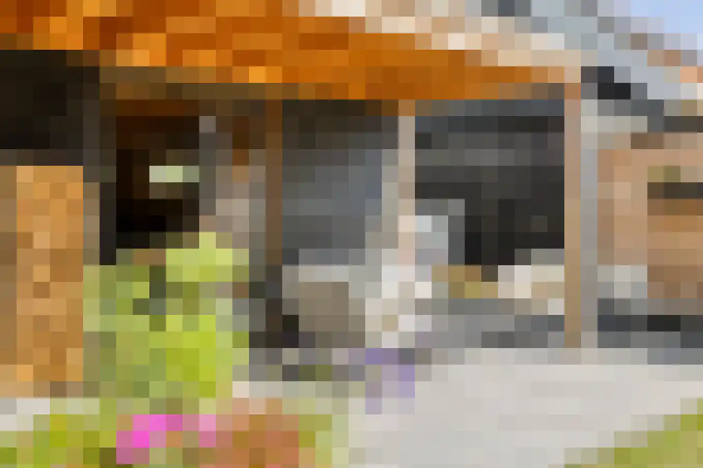 Nieuwe Kraaijertsedijk 23 's-Heer Arendskerke thumbnail 29