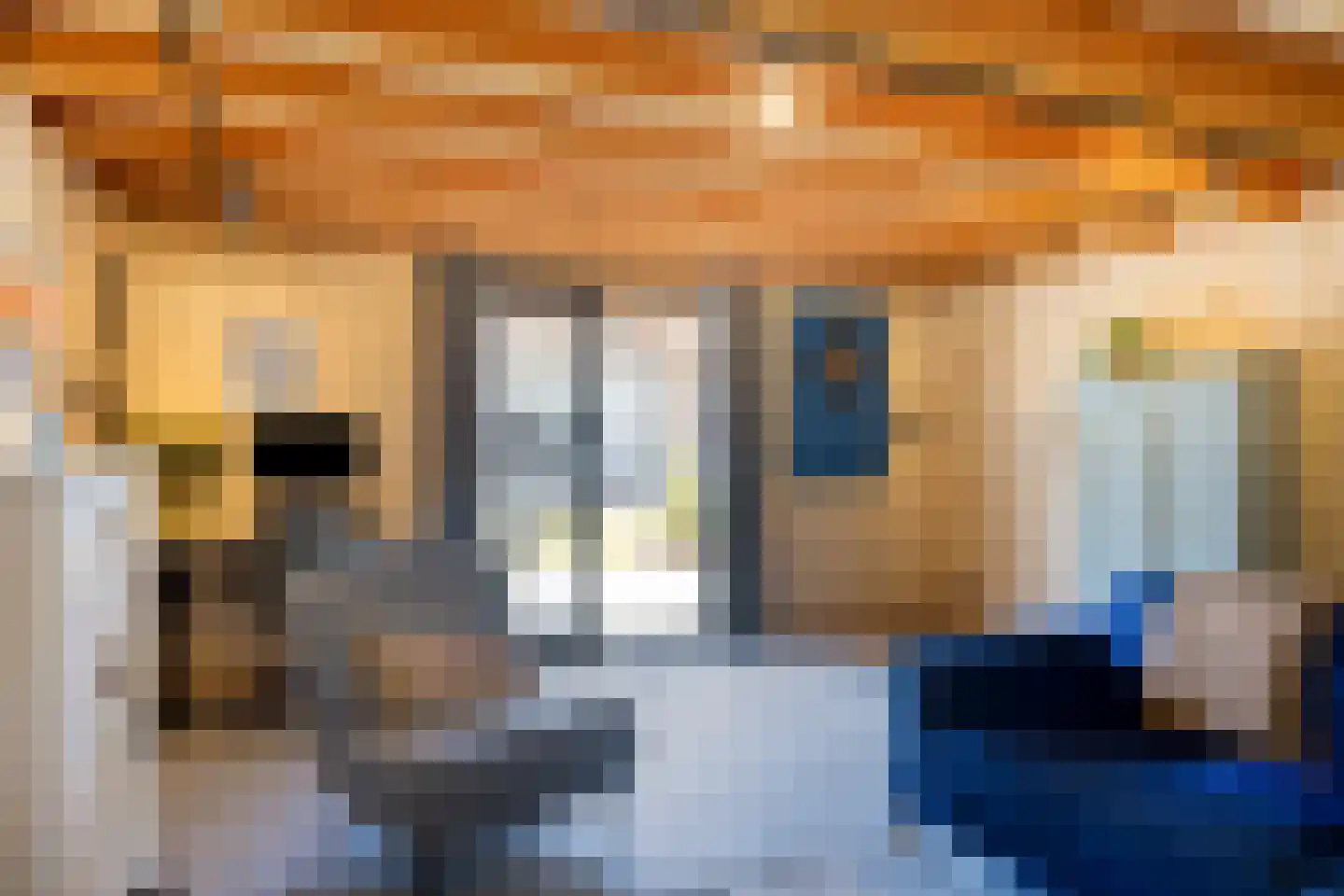 Nieuwe Kraaijertsedijk 23 's-Heer Arendskerke thumbnail 30