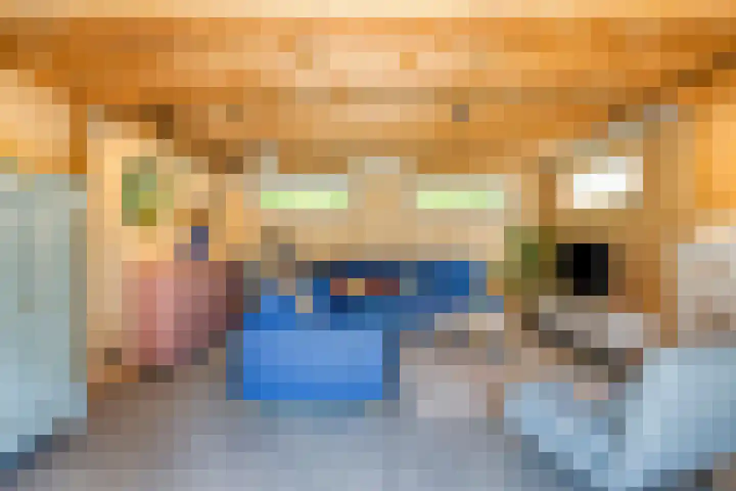 Nieuwe Kraaijertsedijk 23 's-Heer Arendskerke thumbnail 31