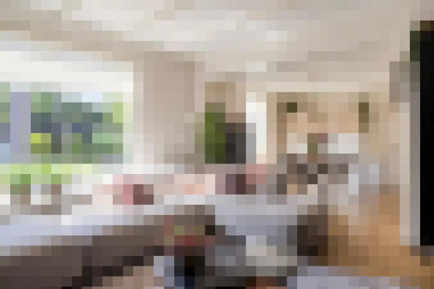 Nieuwe Kraaijertsedijk 23 's-Heer Arendskerke thumbnail 6
