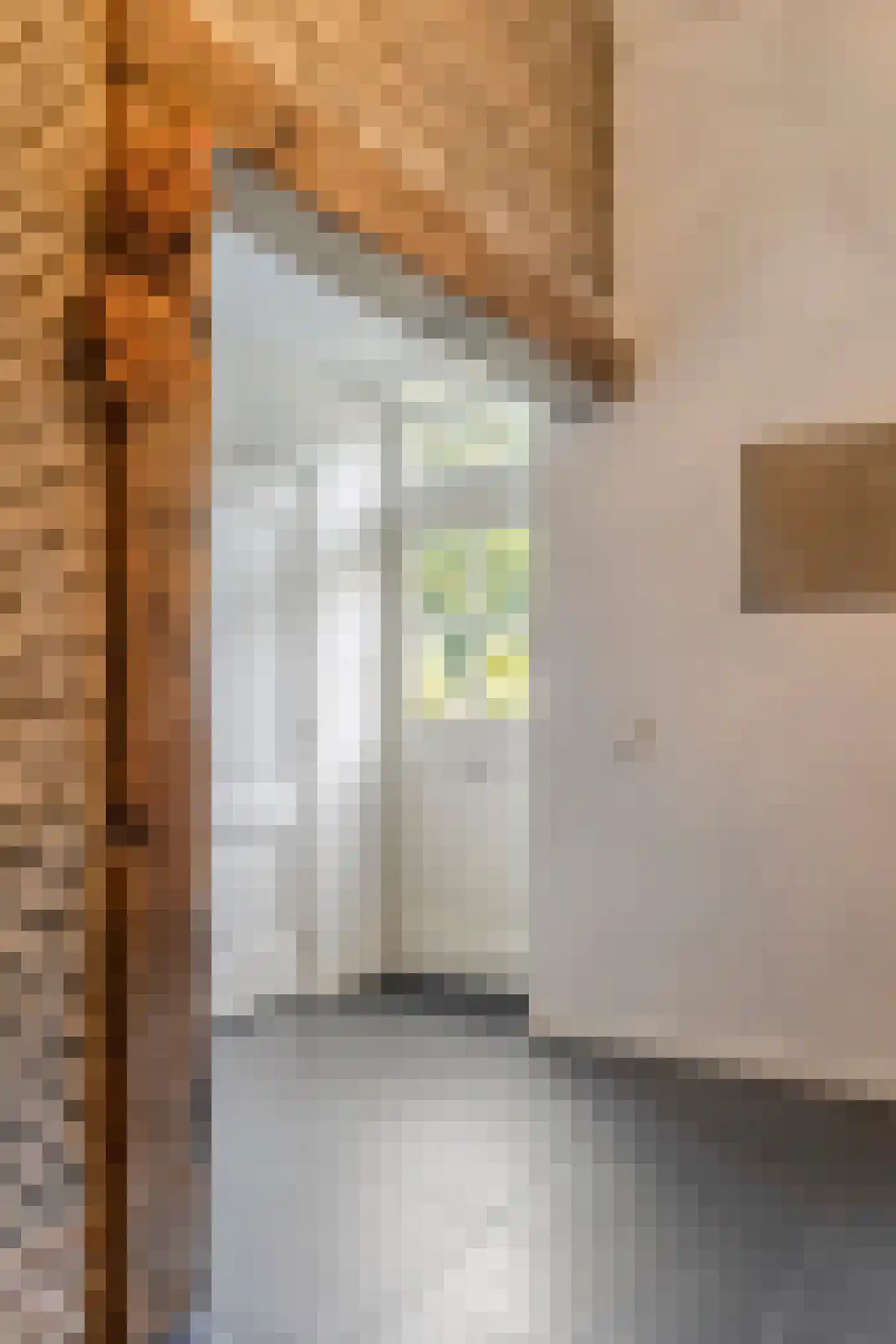 Nieuwe Kraaijertsedijk 24 Lewedorp thumbnail 10
