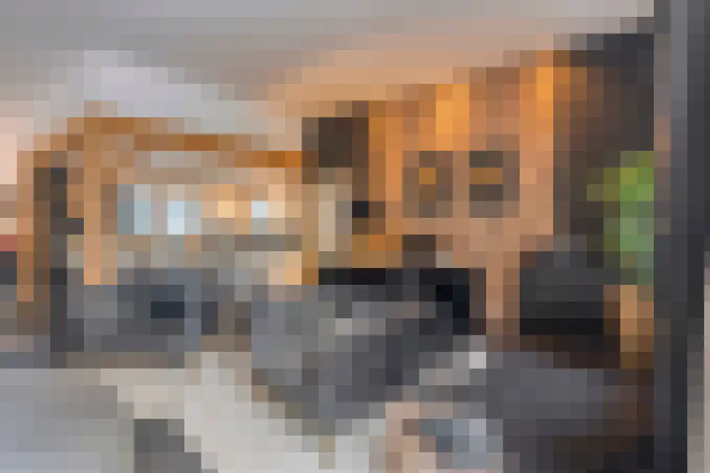 Nieuwe Kraaijertsedijk 24 Lewedorp thumbnail 13