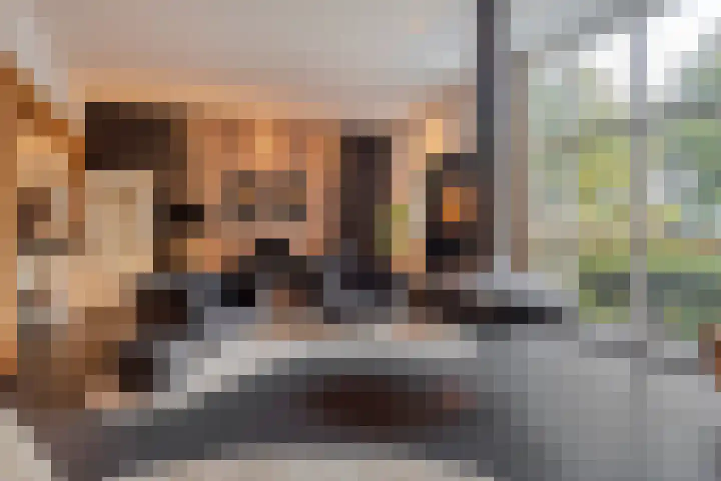 Nieuwe Kraaijertsedijk 24 Lewedorp thumbnail 14