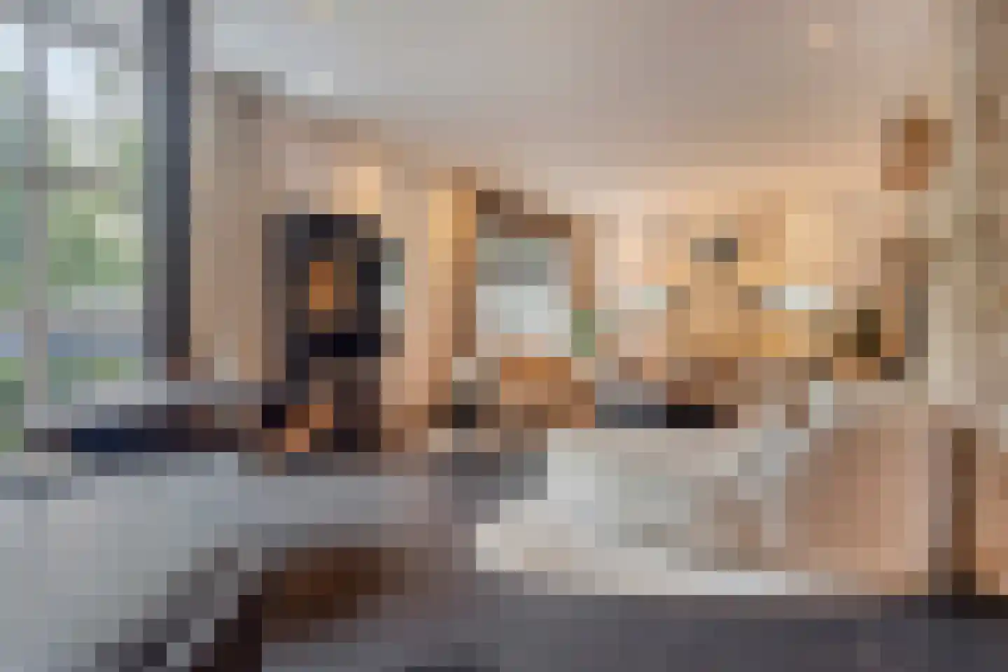 Nieuwe Kraaijertsedijk 24 Lewedorp thumbnail 17