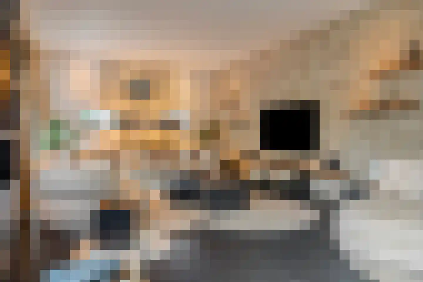 Nieuwe Kraaijertsedijk 24 Lewedorp thumbnail 18