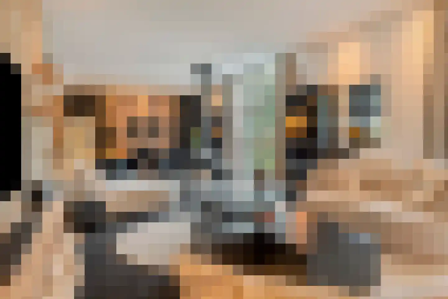 Nieuwe Kraaijertsedijk 24 Lewedorp thumbnail 19