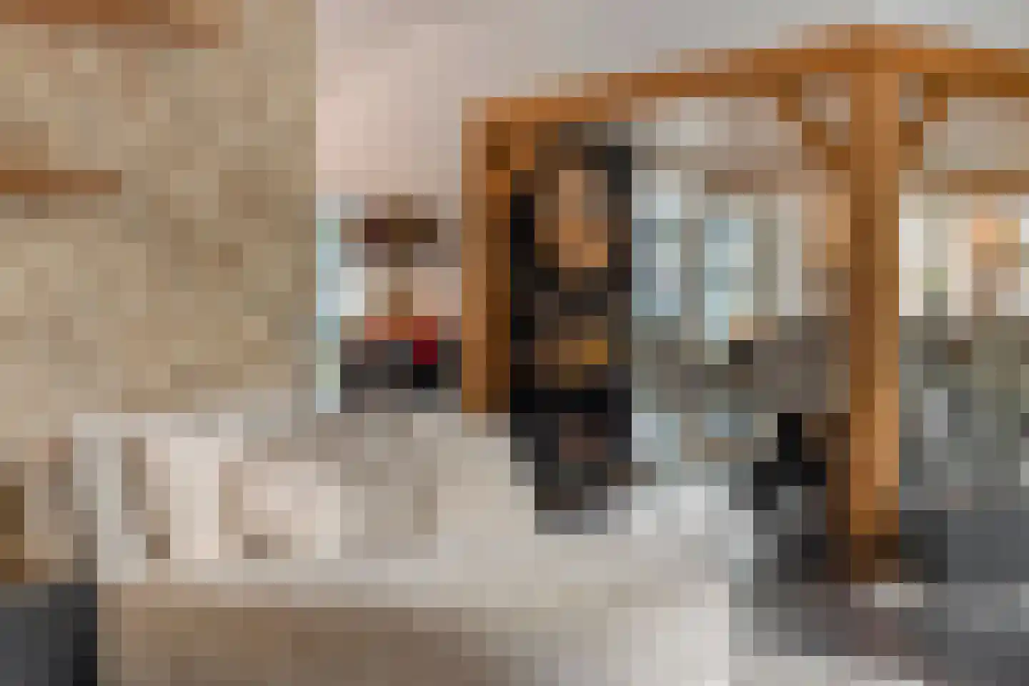 Nieuwe Kraaijertsedijk 24 Lewedorp thumbnail 20