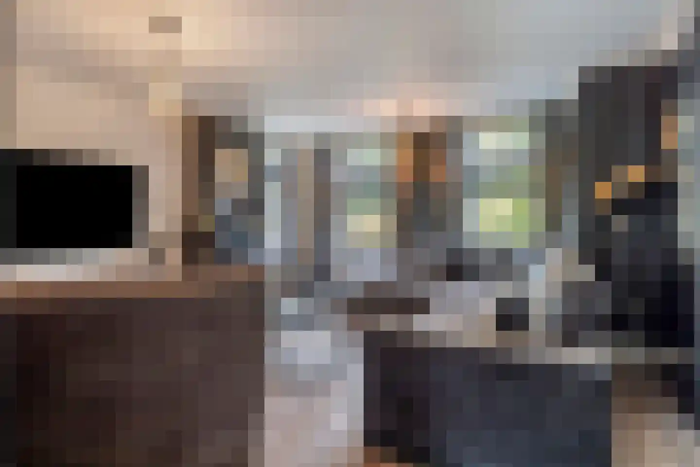 Nieuwe Kraaijertsedijk 24 Lewedorp thumbnail 31