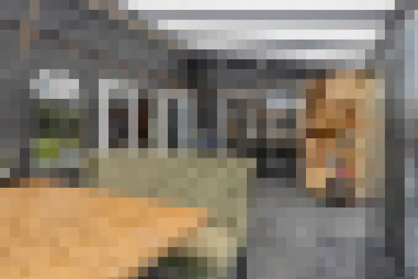 Nieuwe Kraaijertsedijk 24 Lewedorp thumbnail 33