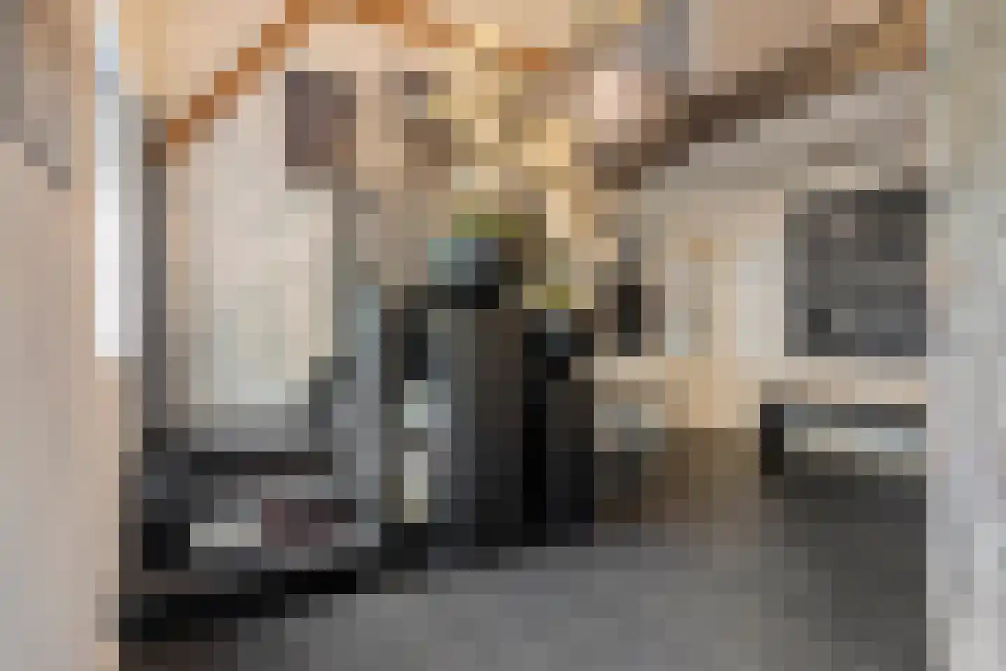 Nieuwe Kraaijertsedijk 24 Lewedorp thumbnail 36