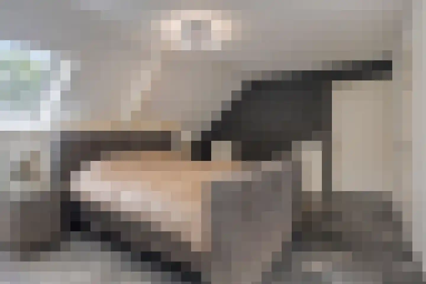Nieuwe Kraaijertsedijk 24 Lewedorp thumbnail 37