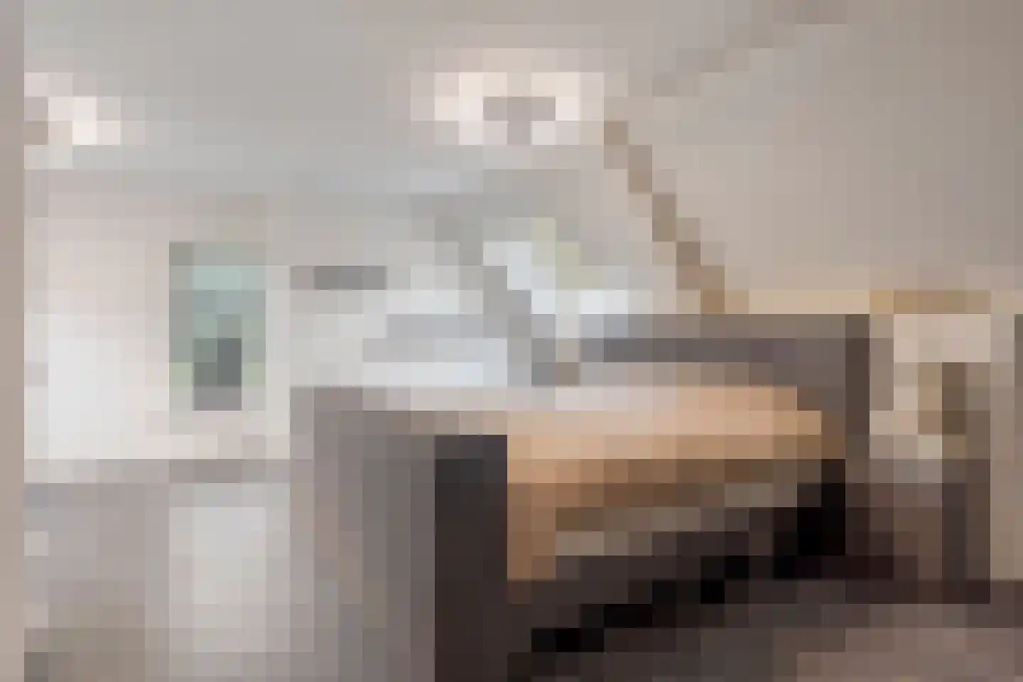 Nieuwe Kraaijertsedijk 24 Lewedorp thumbnail 38