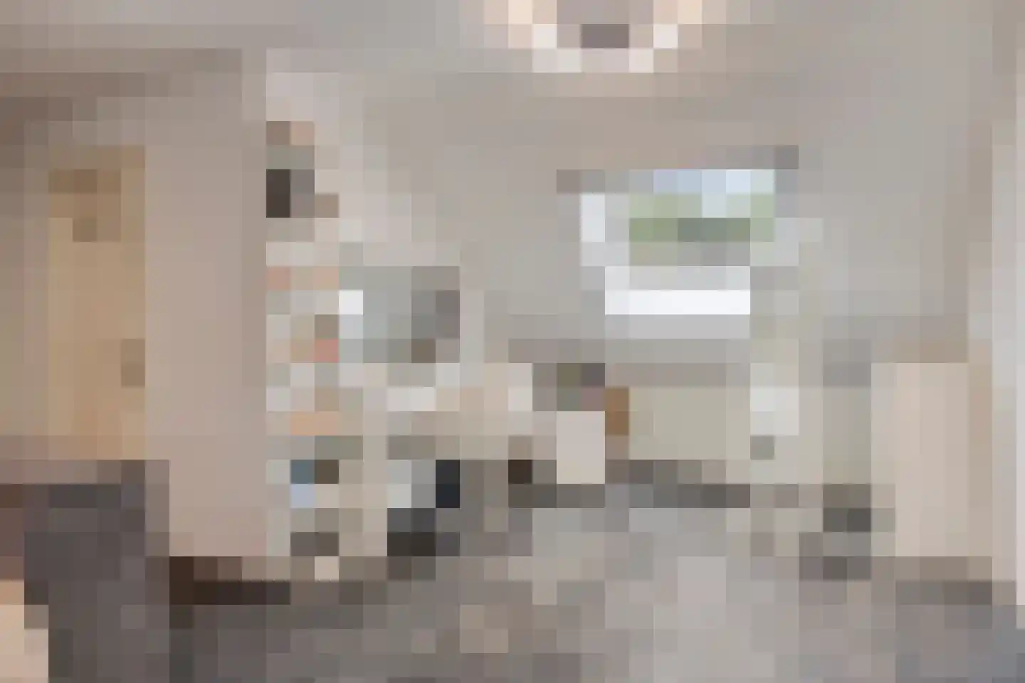 Nieuwe Kraaijertsedijk 24 Lewedorp thumbnail 39