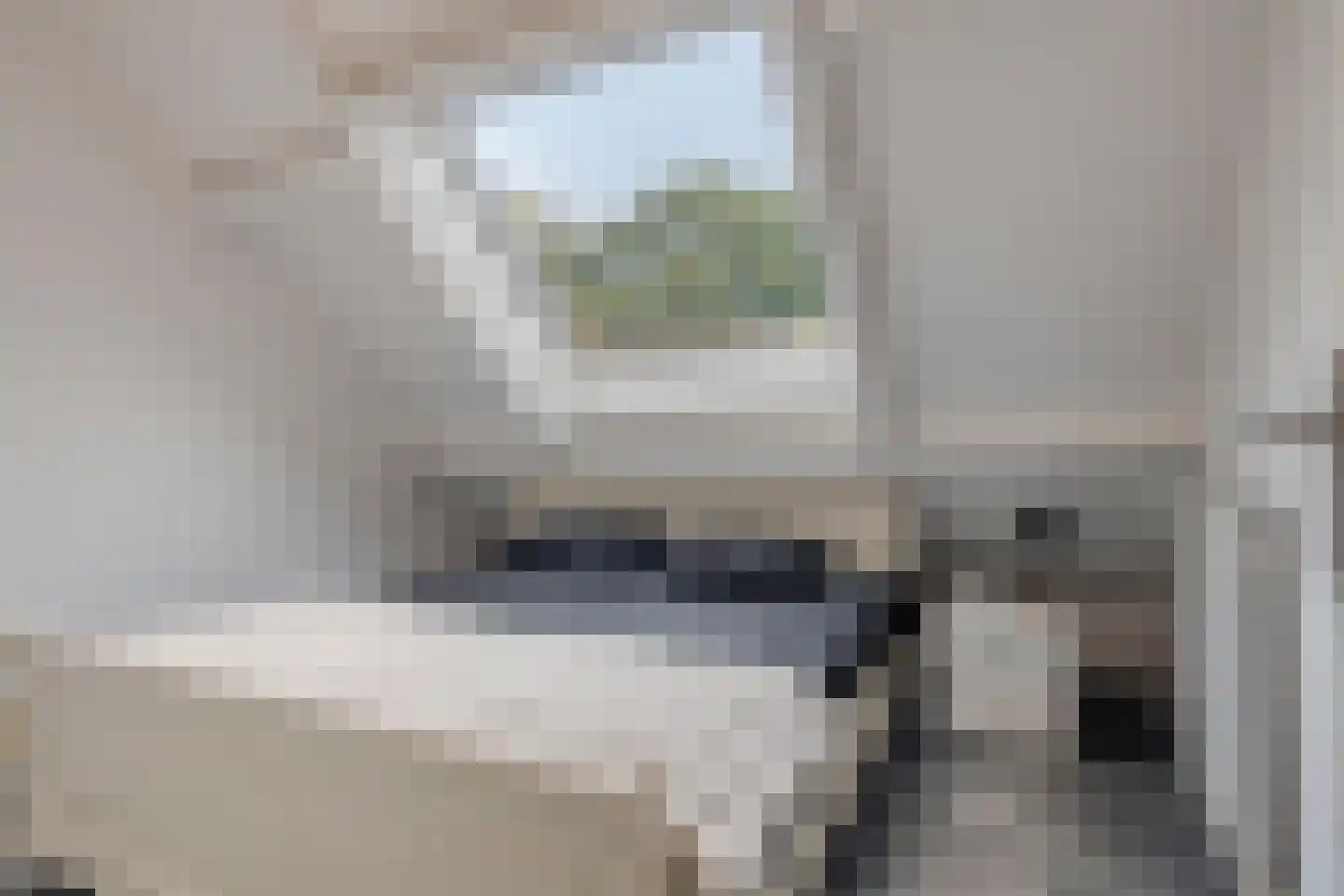 Nieuwe Kraaijertsedijk 24 Lewedorp thumbnail 46
