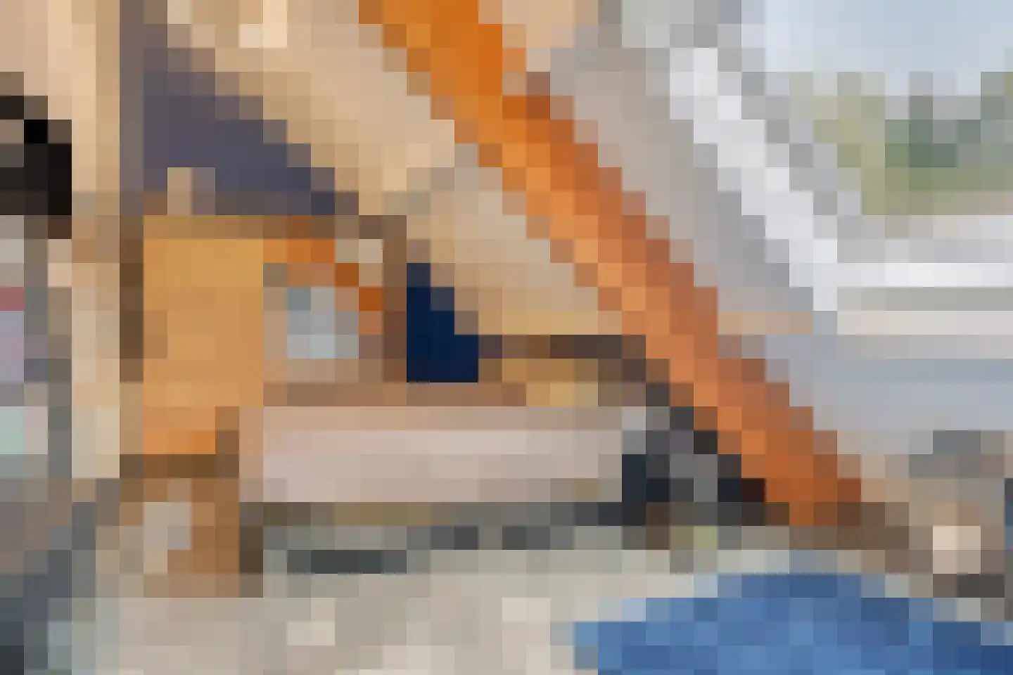 Nieuwe Kraaijertsedijk 24 Lewedorp thumbnail 47