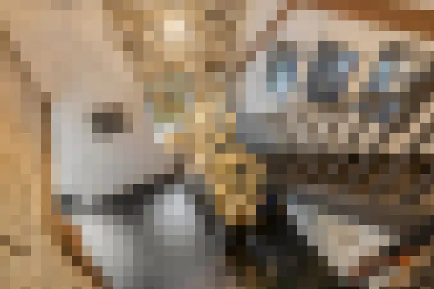 Nieuwe Kraaijertsedijk 24 Lewedorp thumbnail 52
