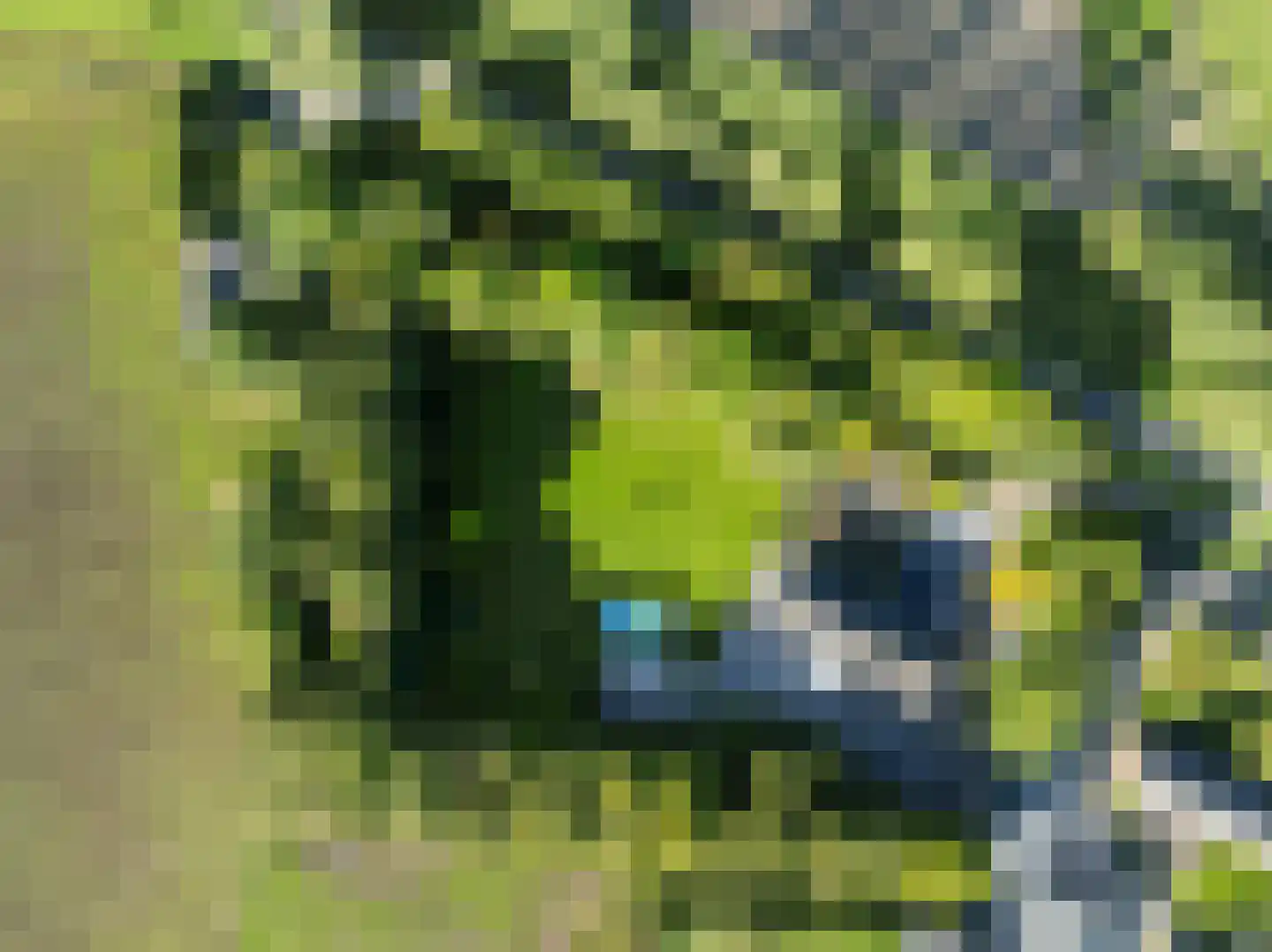 Nieuwe Kraaijertsedijk 24 Lewedorp thumbnail 6