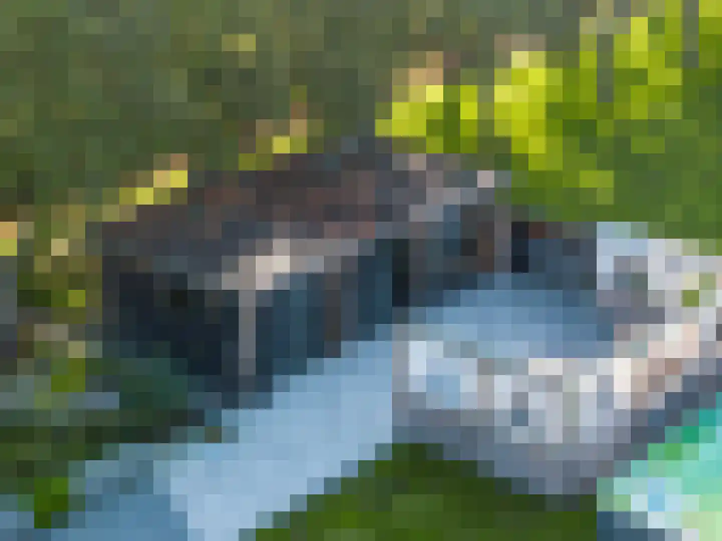 Nieuwe Kraaijertsedijk 24 Lewedorp thumbnail 61