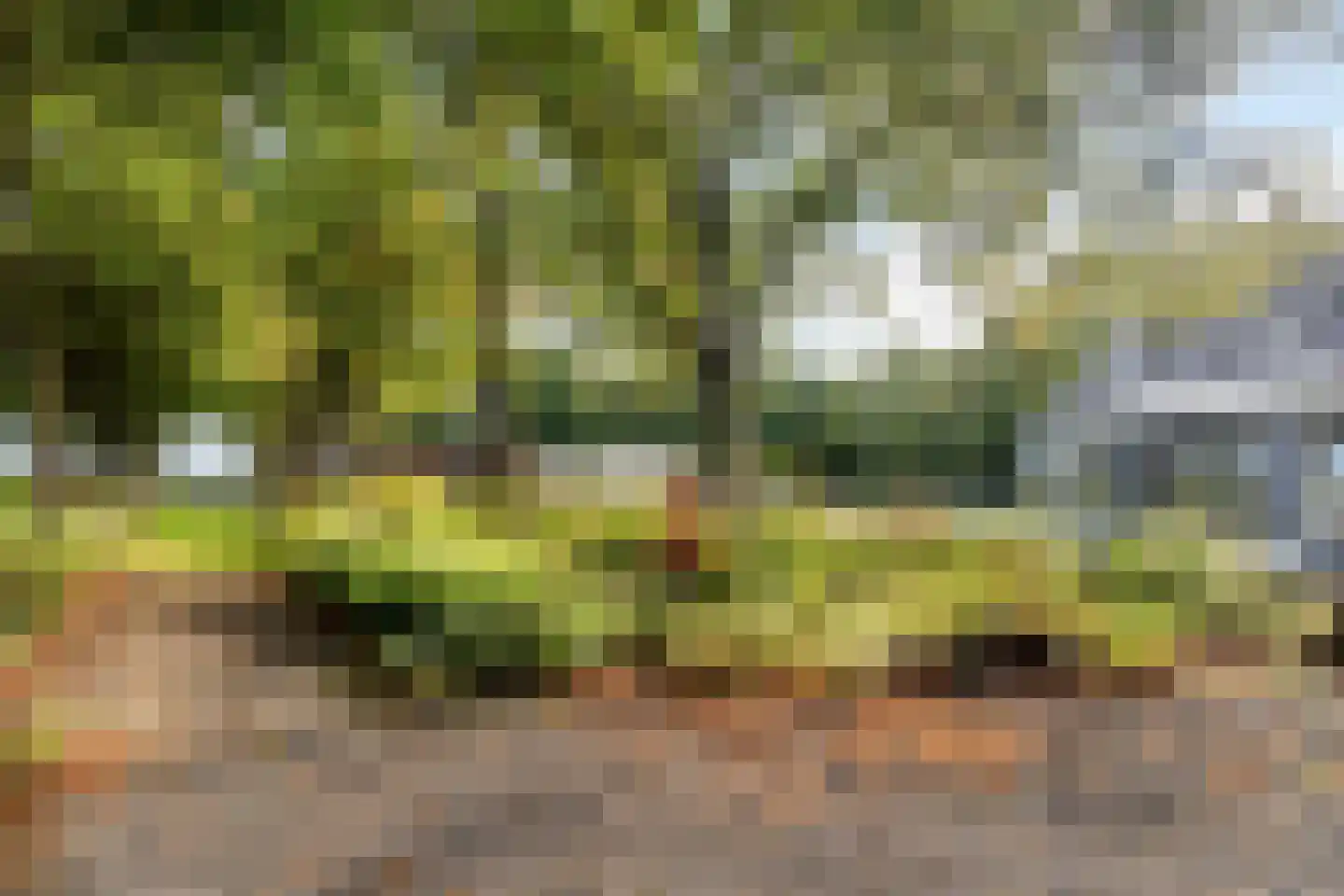 Nieuwe Kraaijertsedijk 24 Lewedorp thumbnail 67
