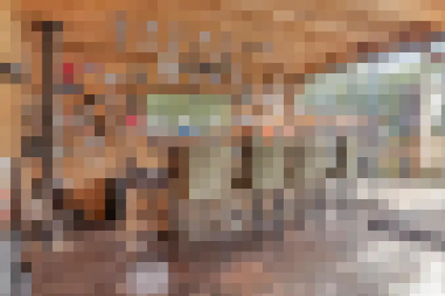 Nieuwe Kraaijertsedijk 24 Lewedorp thumbnail 71