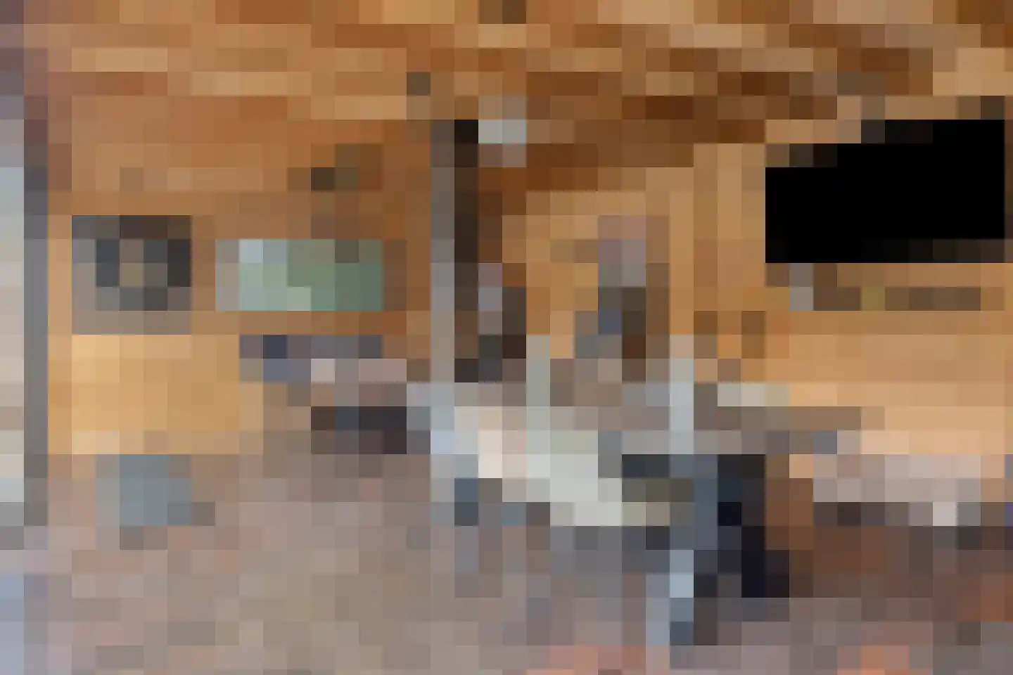 Nieuwe Kraaijertsedijk 24 Lewedorp thumbnail 72