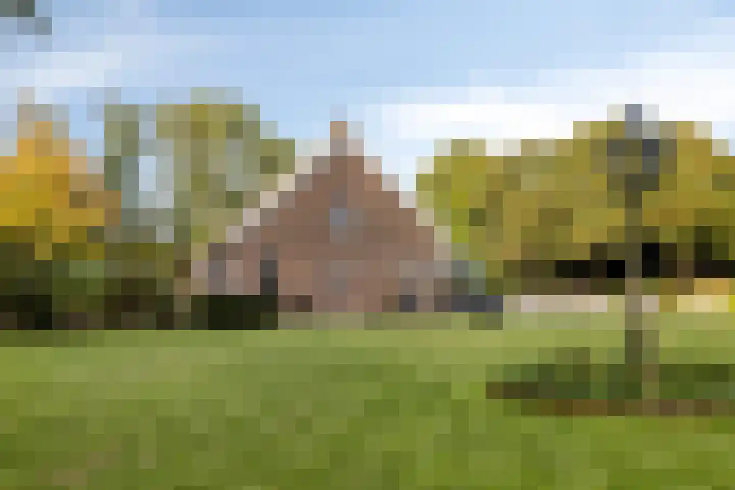 Nieuwe Kraaijertsedijk 24 Lewedorp thumbnail 76