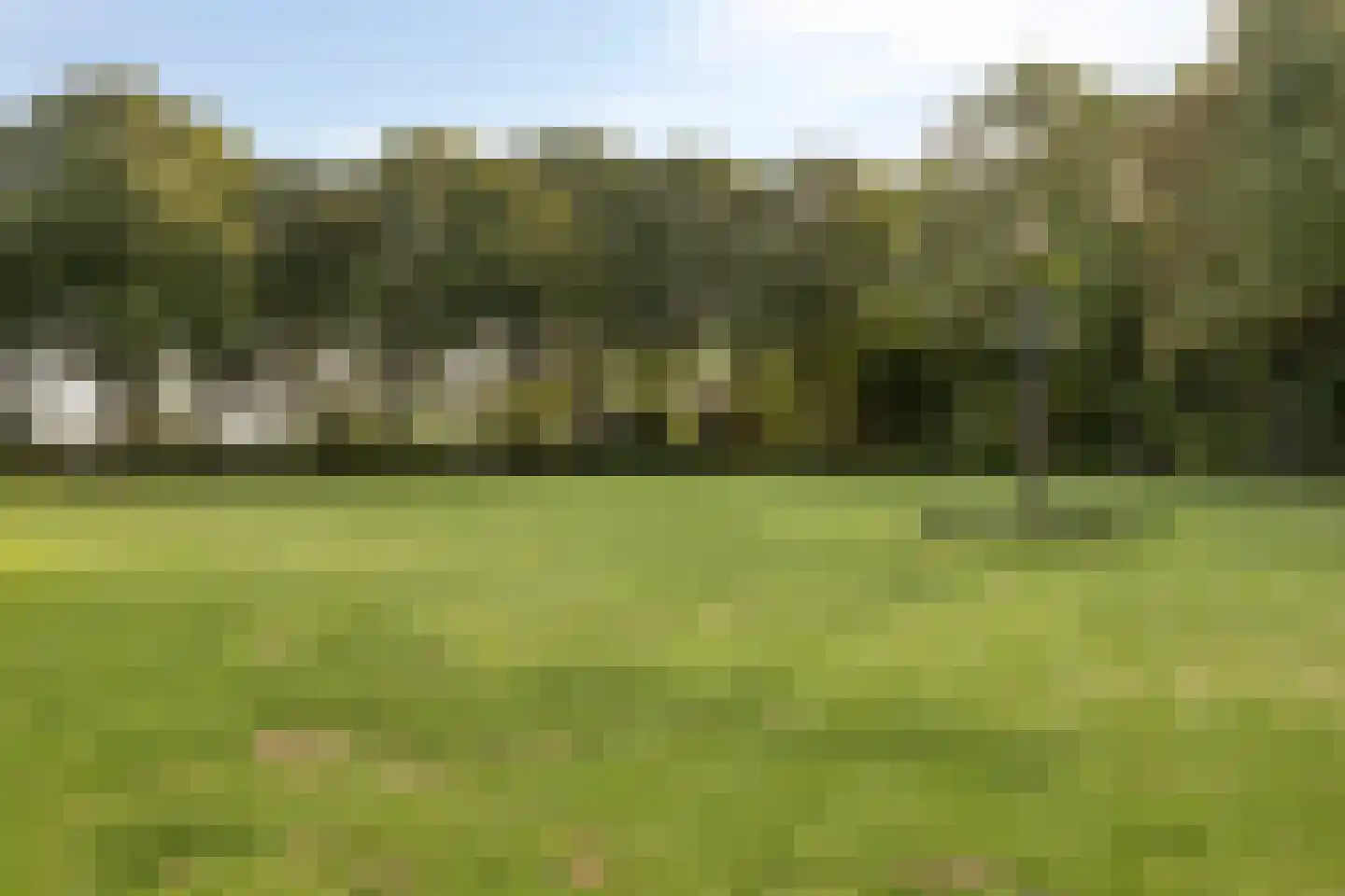 Nieuwe Kraaijertsedijk 24 Lewedorp thumbnail 77