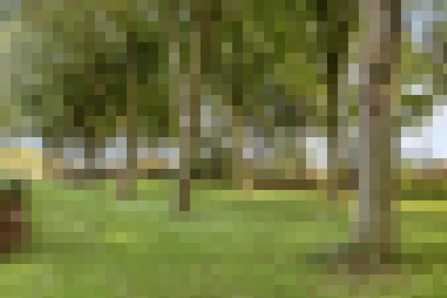 Nieuwe Kraaijertsedijk 24 Lewedorp thumbnail 80