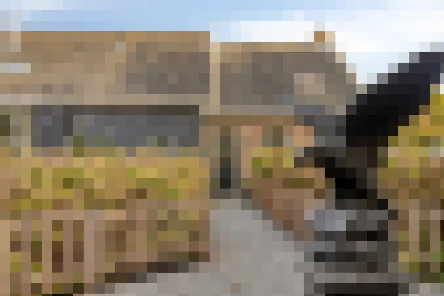 Nieuwe Kraaijertsedijk 24 Lewedorp thumbnail 9