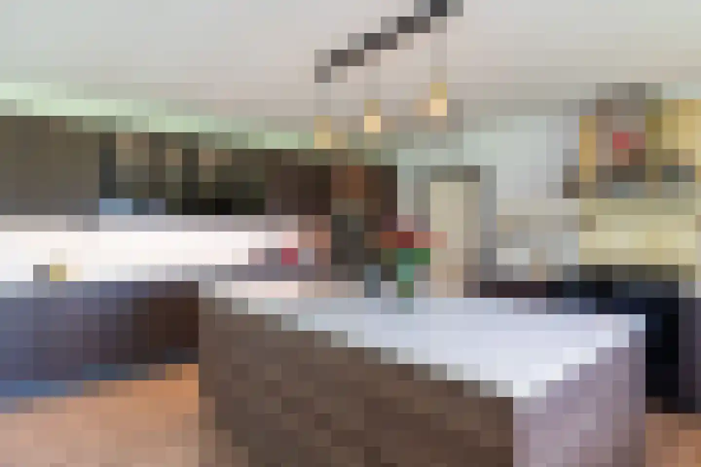 Nieuwe Kraaijertsedijk 29 's-Heer Arendskerke thumbnail 10
