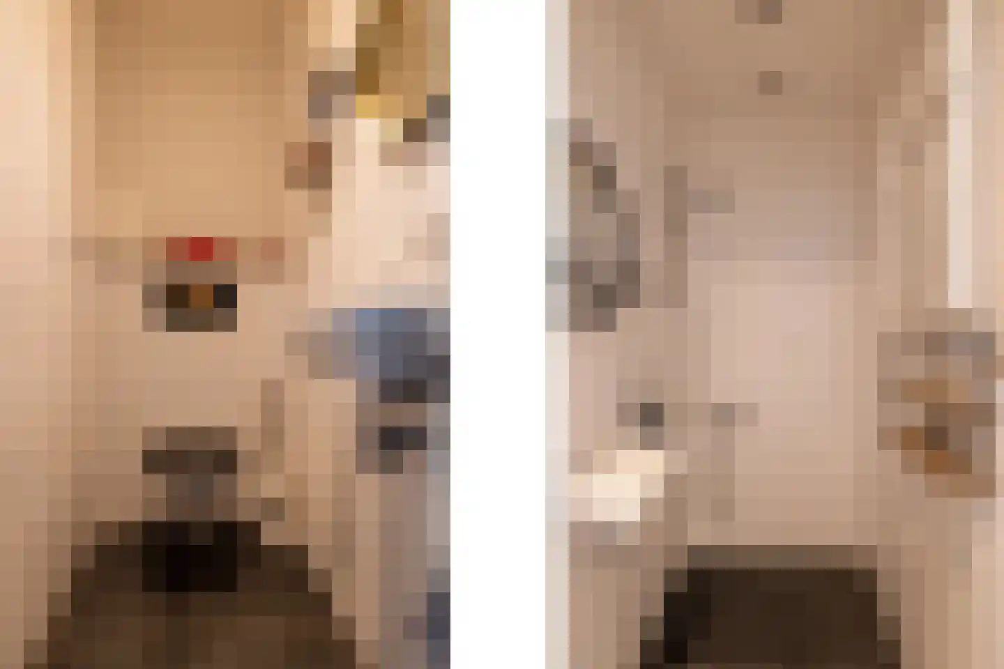 Nieuwe Kraaijertsedijk 29 's-Heer Arendskerke thumbnail 11