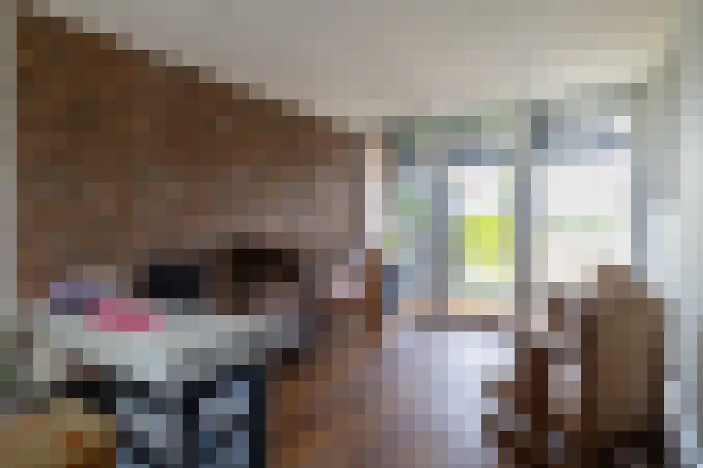 Nieuwe Kraaijertsedijk 29 's-Heer Arendskerke thumbnail 12