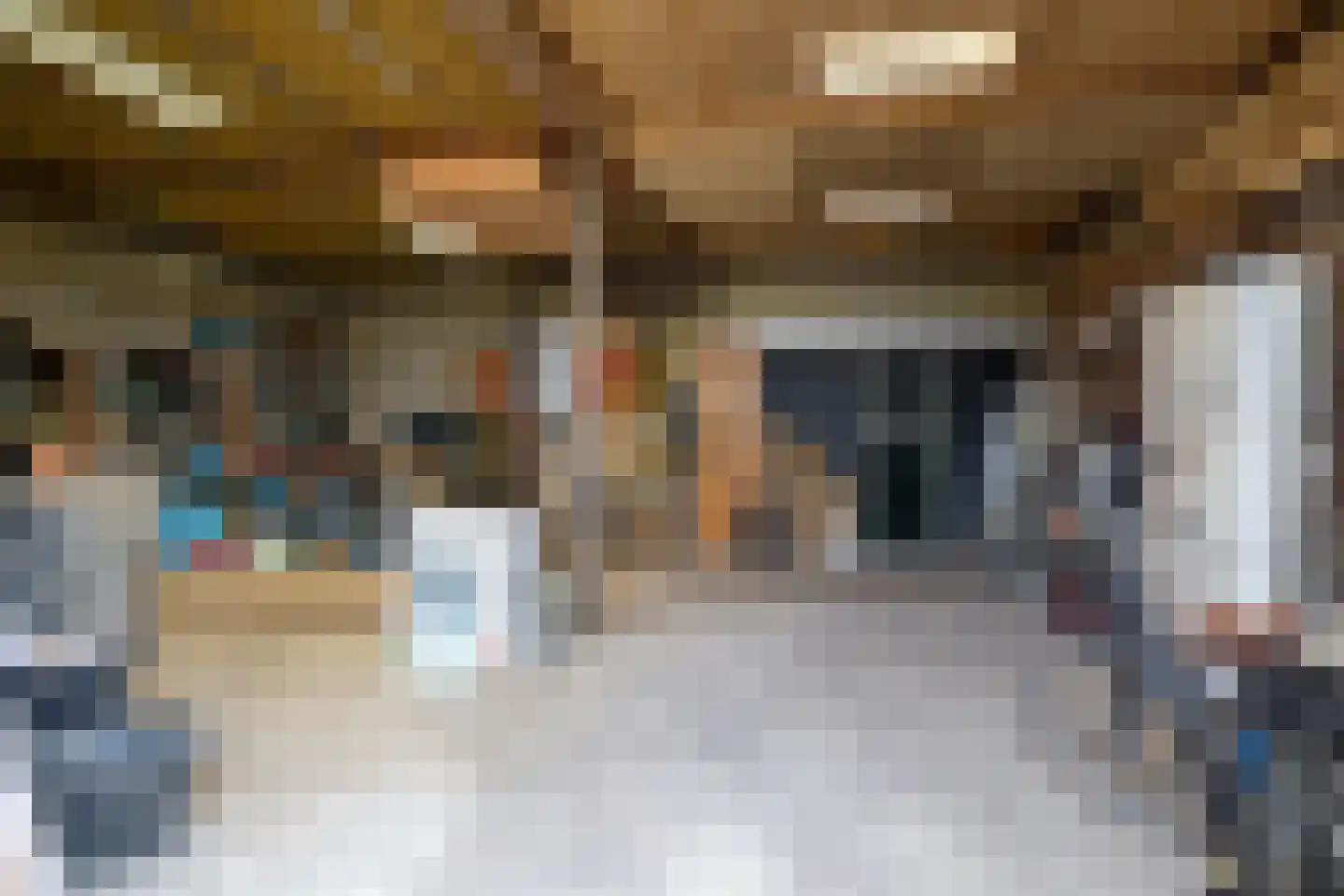 Nieuwe Kraaijertsedijk 29 's-Heer Arendskerke thumbnail 14