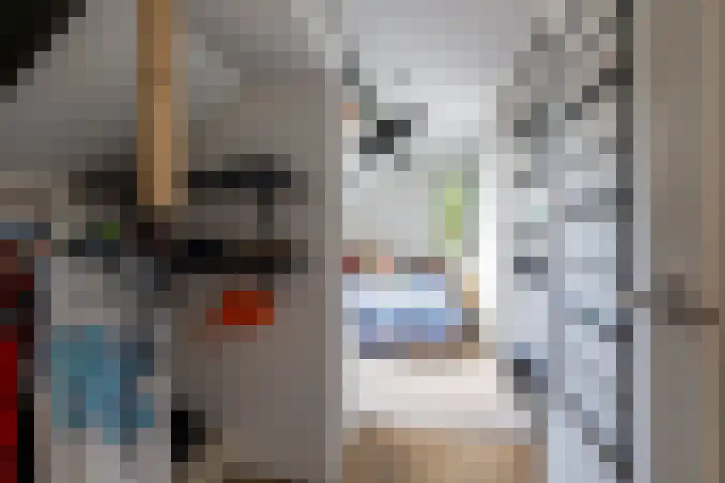 Nieuwe Kraaijertsedijk 29 's-Heer Arendskerke thumbnail 17