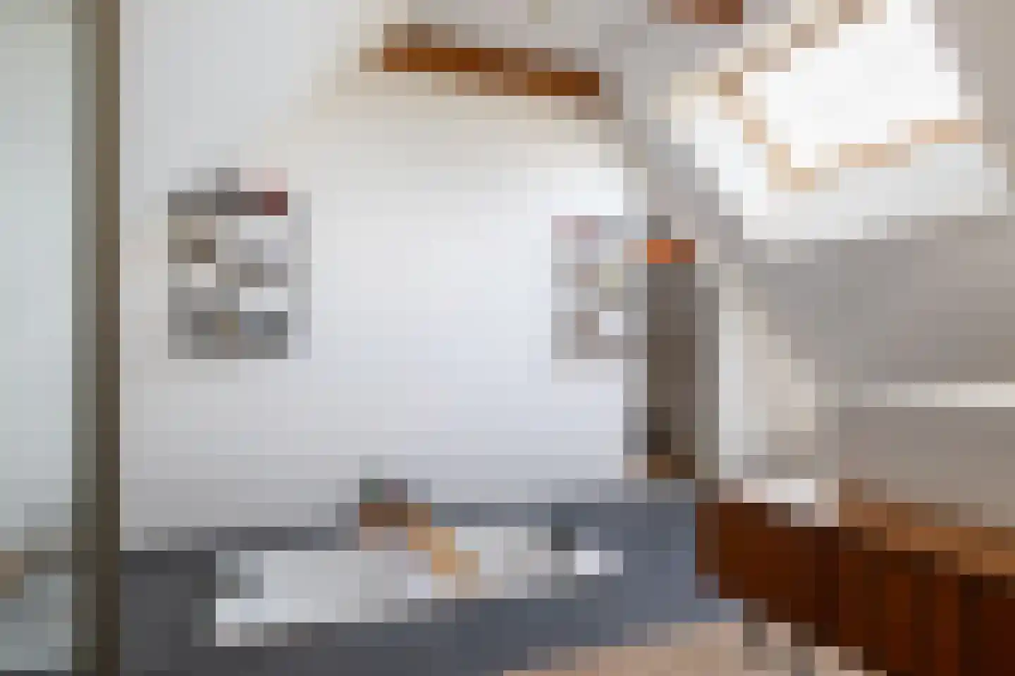 Nieuwe Kraaijertsedijk 29 's-Heer Arendskerke thumbnail 24