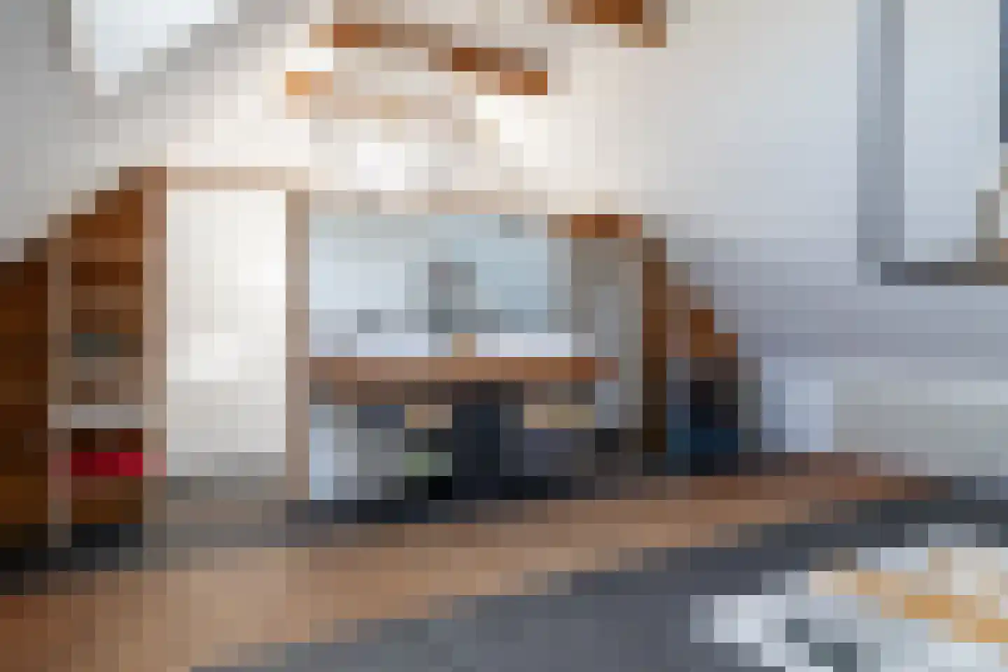 Nieuwe Kraaijertsedijk 29 's-Heer Arendskerke thumbnail 25