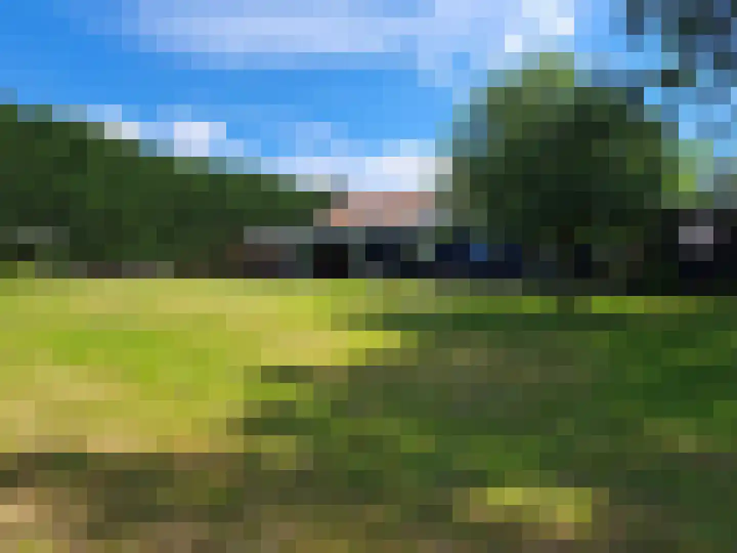 Nieuwe Kraaijertsedijk 29 's-Heer Arendskerke thumbnail 29
