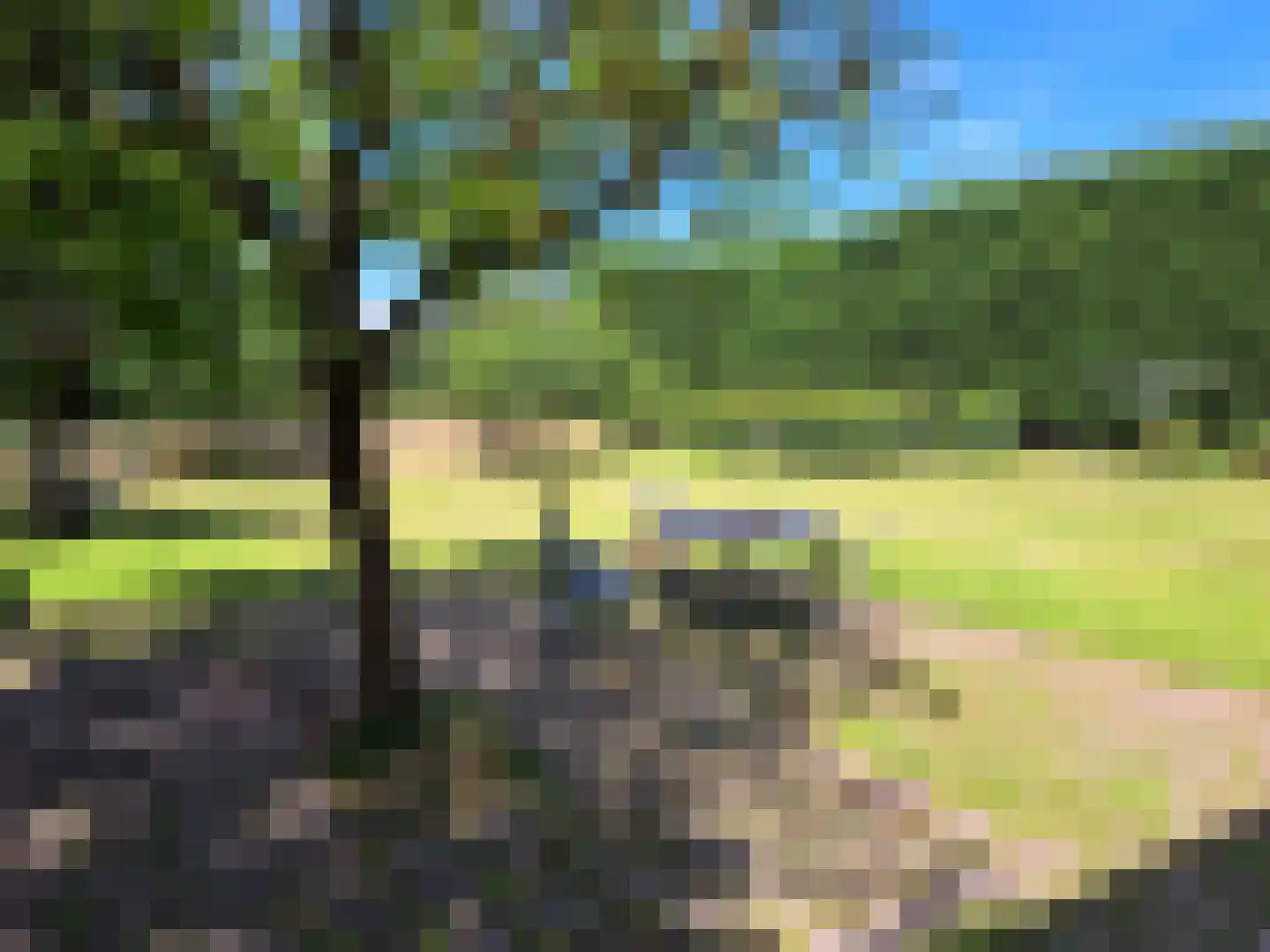 Nieuwe Kraaijertsedijk 29 's-Heer Arendskerke thumbnail 30