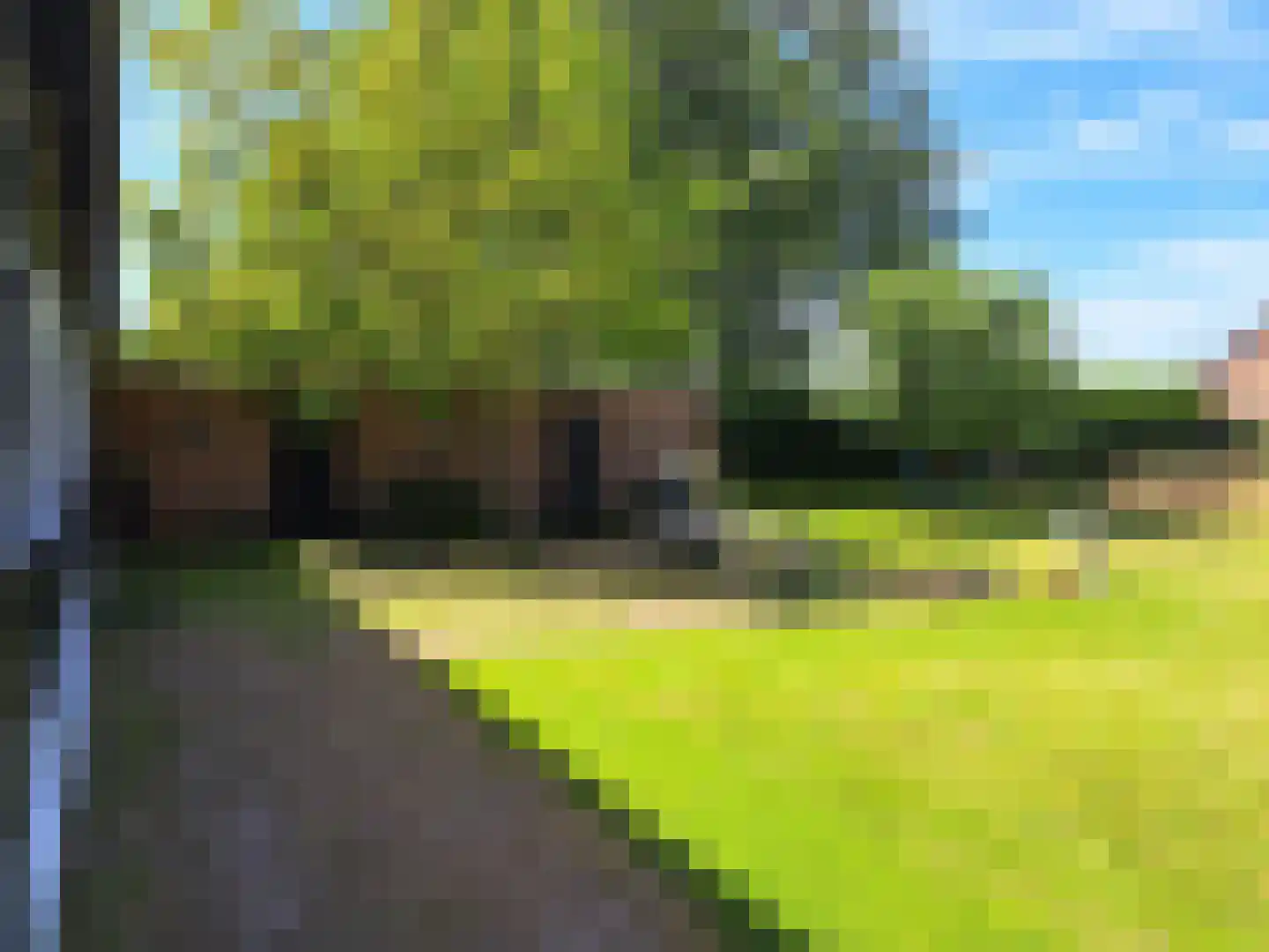 Nieuwe Kraaijertsedijk 29 's-Heer Arendskerke thumbnail 31