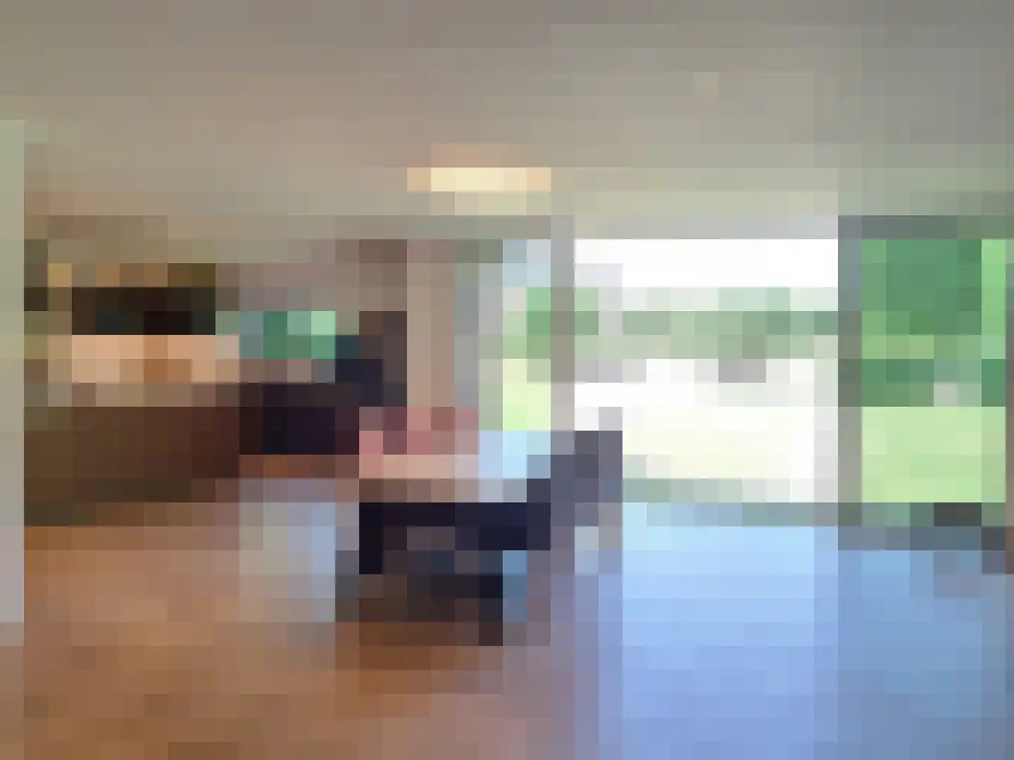 Nieuwe Kraaijertsedijk 29 's-Heer Arendskerke thumbnail 7