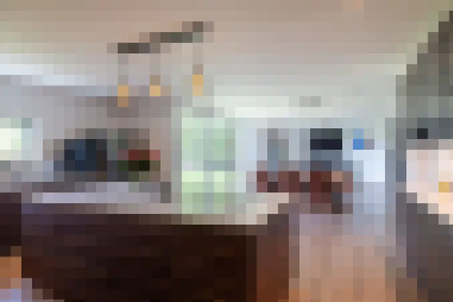 Nieuwe Kraaijertsedijk 29 's-Heer Arendskerke thumbnail 8
