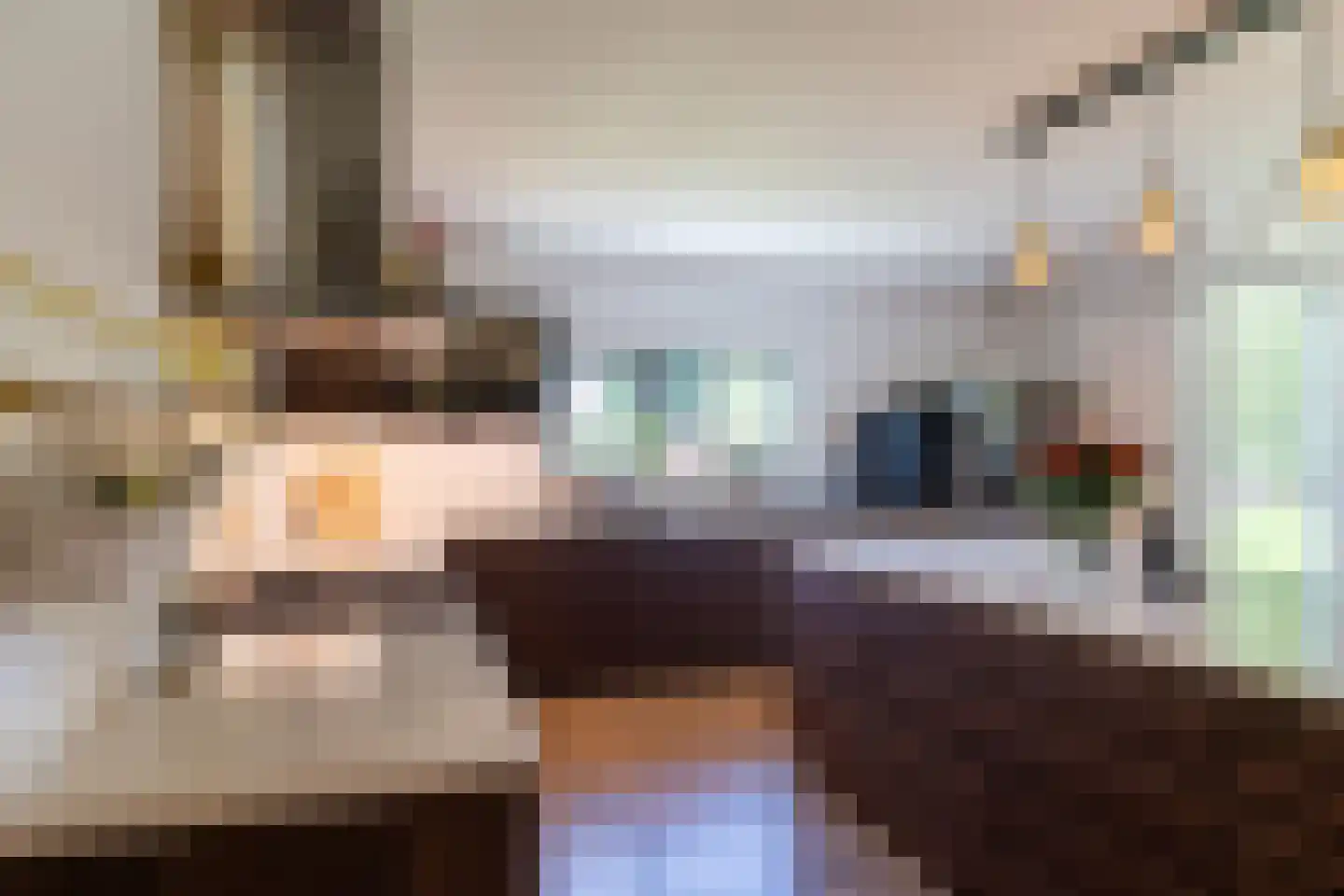 Nieuwe Kraaijertsedijk 29 's-Heer Arendskerke thumbnail 9