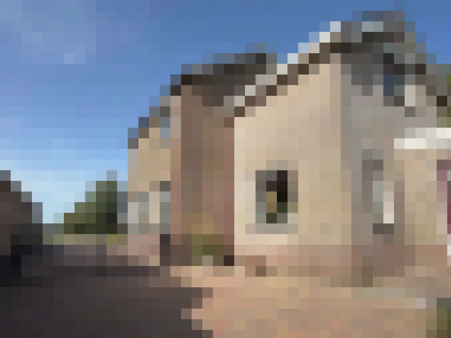 Nieuwe Krim 10 Coevorden thumbnail 14