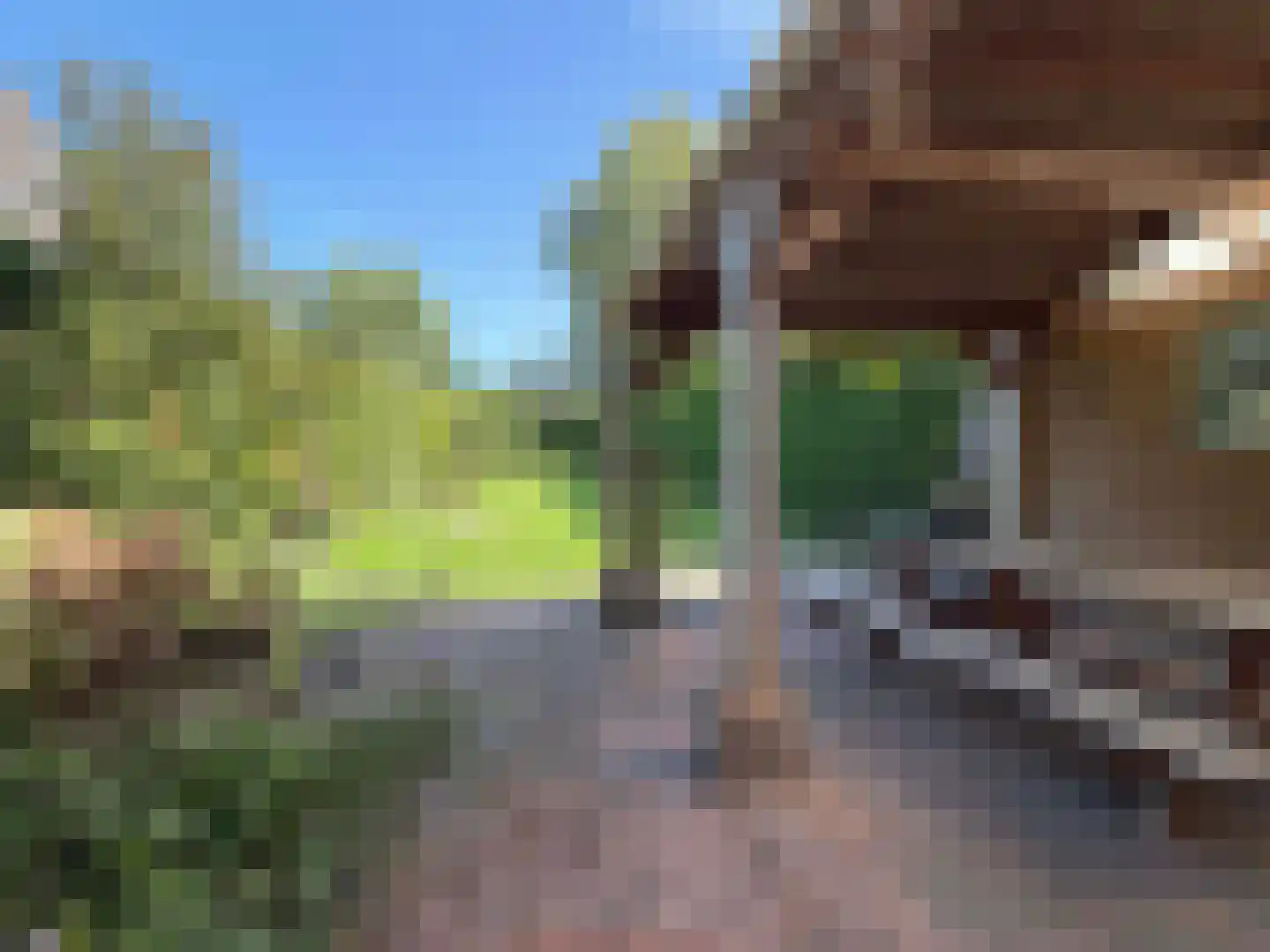 Nieuwe Krim 10 Coevorden thumbnail 15