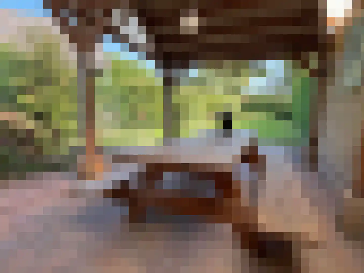 Nieuwe Krim 10 Coevorden thumbnail 16