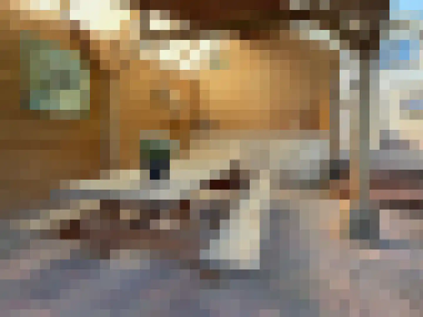 Nieuwe Krim 10 Coevorden thumbnail 17