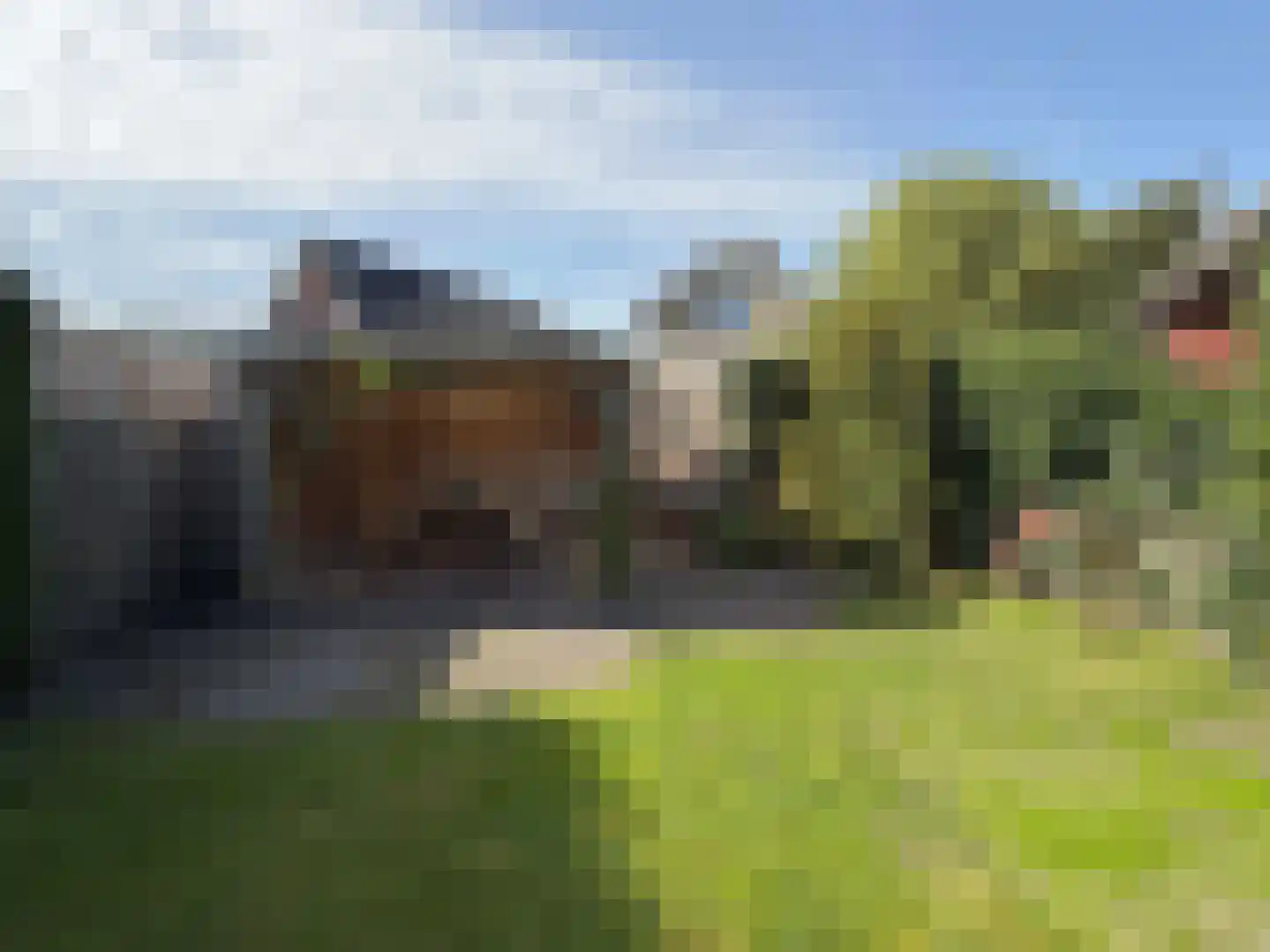 Nieuwe Krim 10 Coevorden thumbnail 20