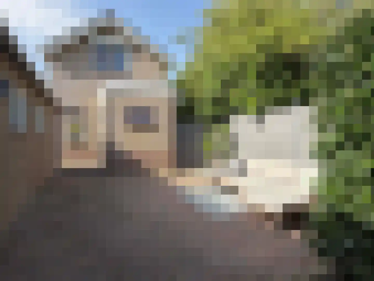 Nieuwe Krim 10 Coevorden thumbnail 21
