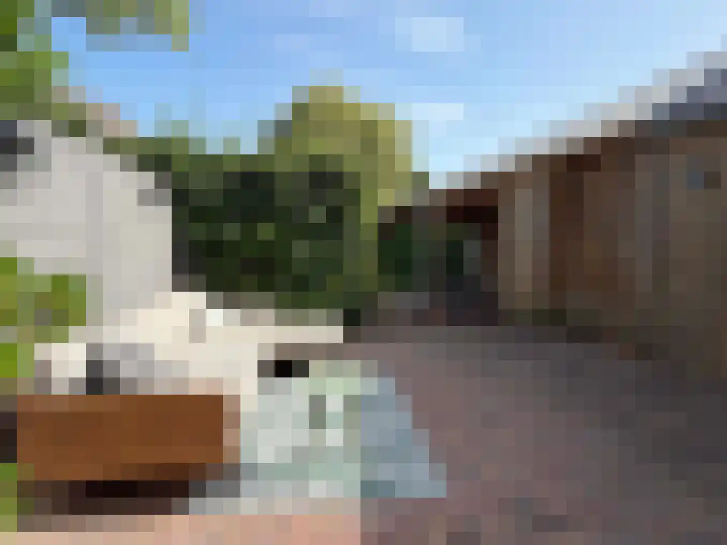 Nieuwe Krim 10 Coevorden thumbnail 23